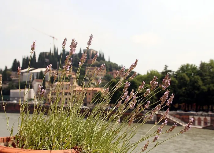 Sottoriva36 Bed & Breakfast 3*